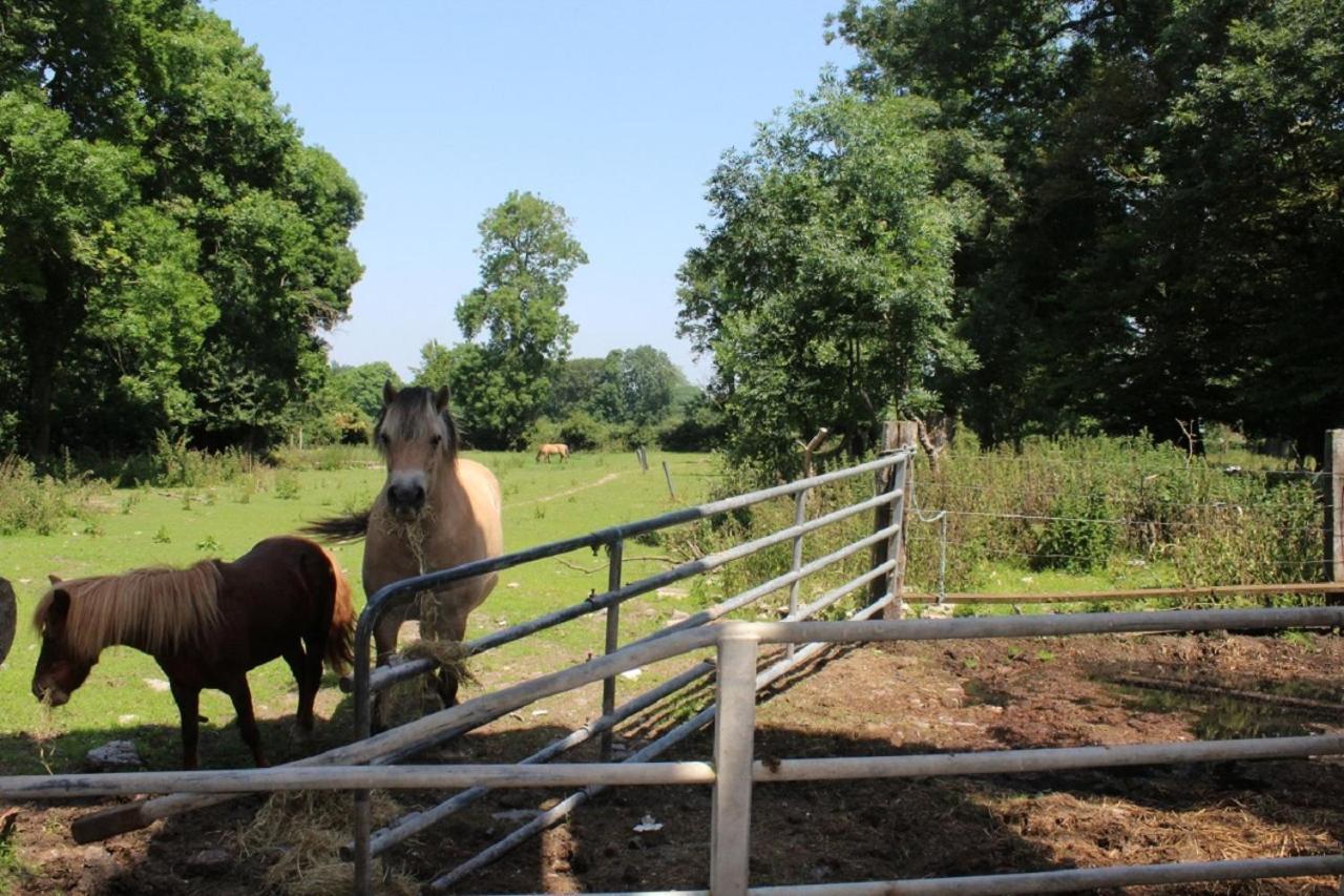 La Ferme De La Croix Villa Saint-Quentin-Lamotte-Croix-au-Bailly Ngoại thất bức ảnh